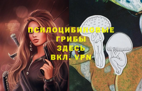 дмт Абинск
